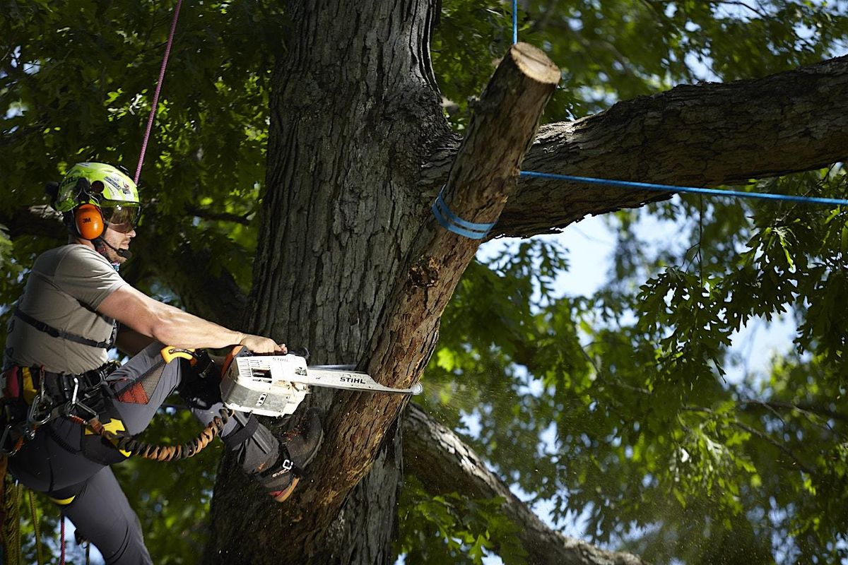 Arborist Training - Springfield, IL, 20 June | Event in Springfield | AllEvents