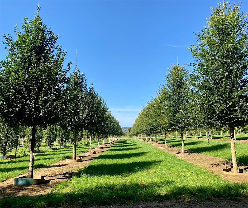 Seed to Sapling | Event in Liss | AllEvents