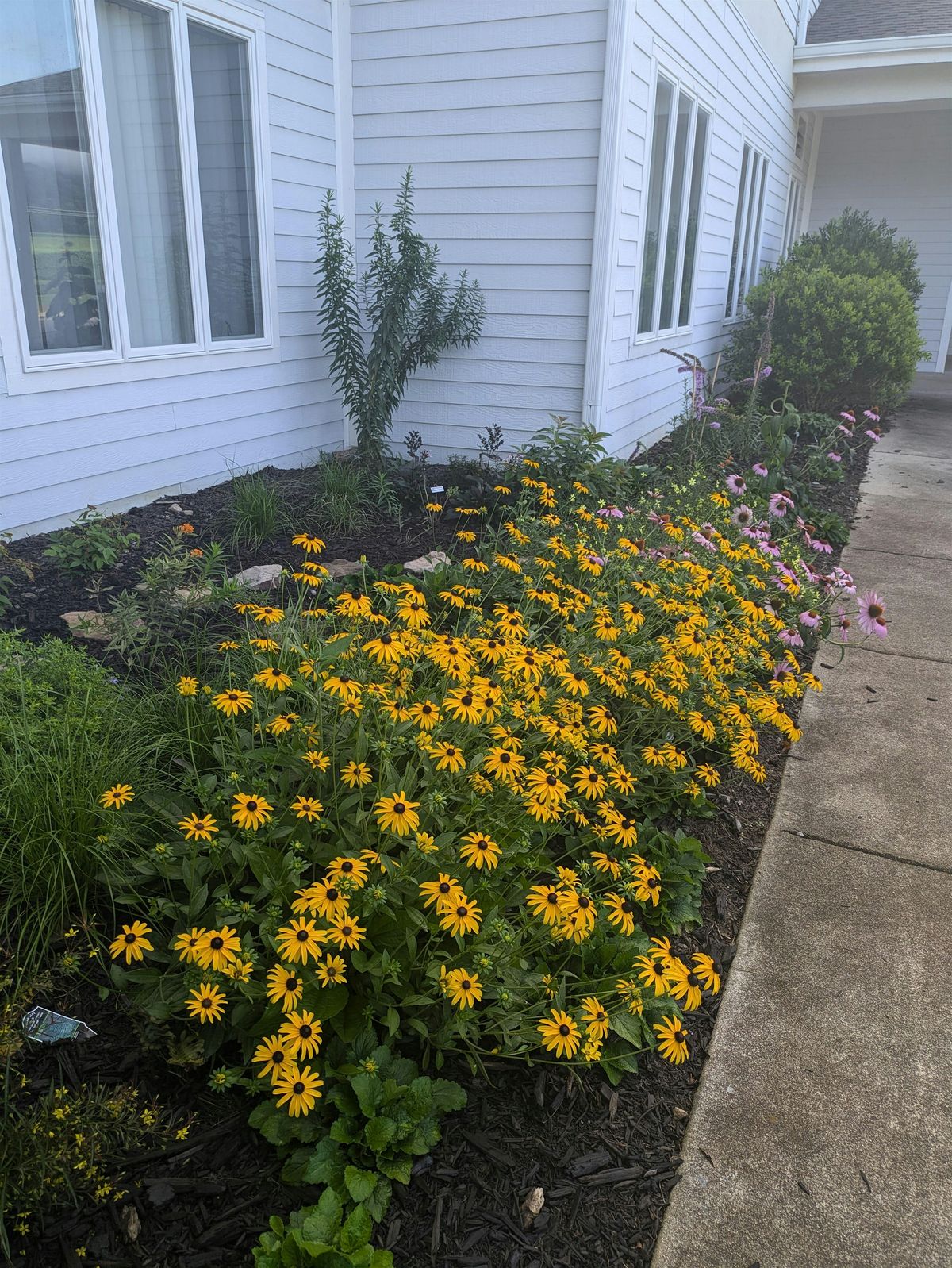 Learn to Grow: Native Plants, 9 April | Event in Waynesville | AllEvents