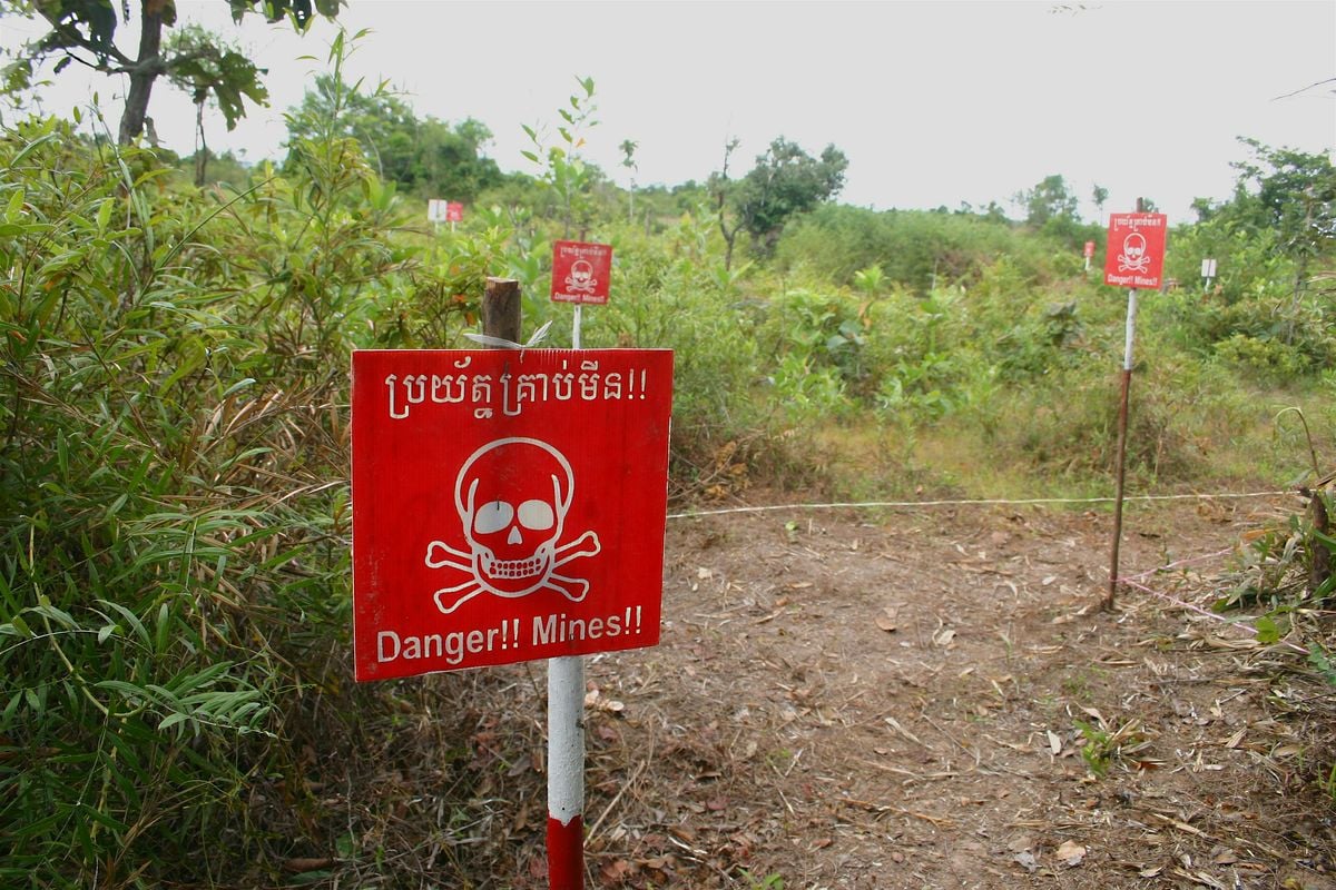 Bill Morse - Walking Free: Ending the Landmine Era, One Field at a Time, 30 October | Event in Toa Payoh | AllEvents