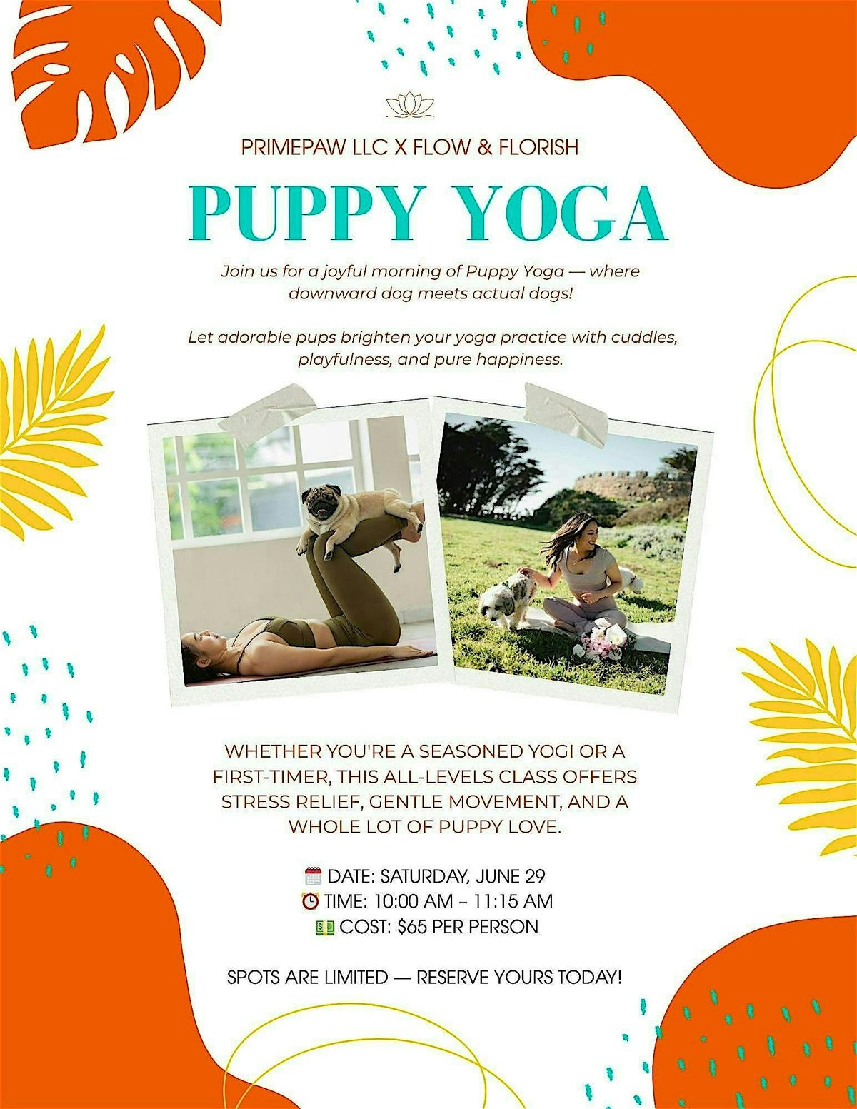 Primepaw x Flow & Flourish: Puppy Yoga, 29 June | Event in San Francisco | AllEvents