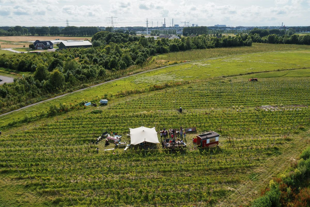 Open dag met proeverij & rondleiding op Wijntuin Ronja, 7 September | Event in Beverwijk | AllEvents