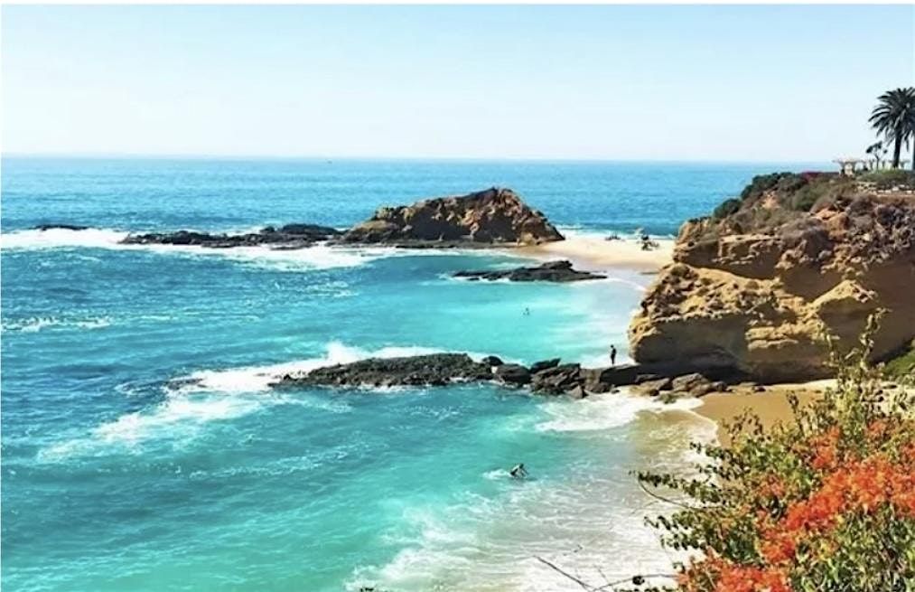 Vegan Vixens Potluck in the Park, 27 July | Event in Laguna Beach | AllEvents