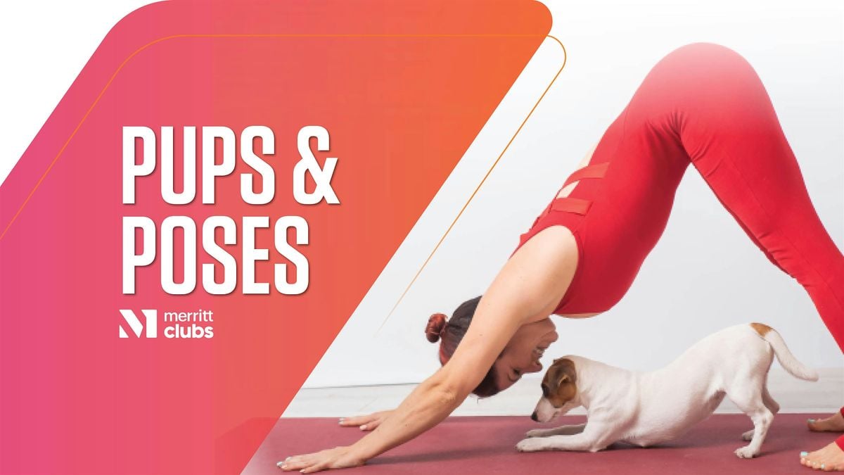 Pups & Poses, 26 July | Event in Baltimore | AllEvents