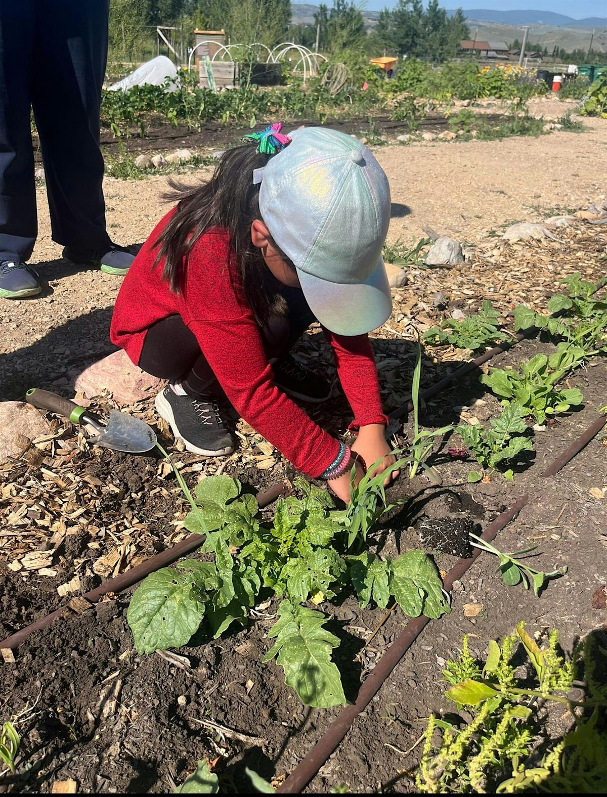 La Milpa Harvest Celebration – Join us in Gratitude and Community Register, 26 August | Event in Park City