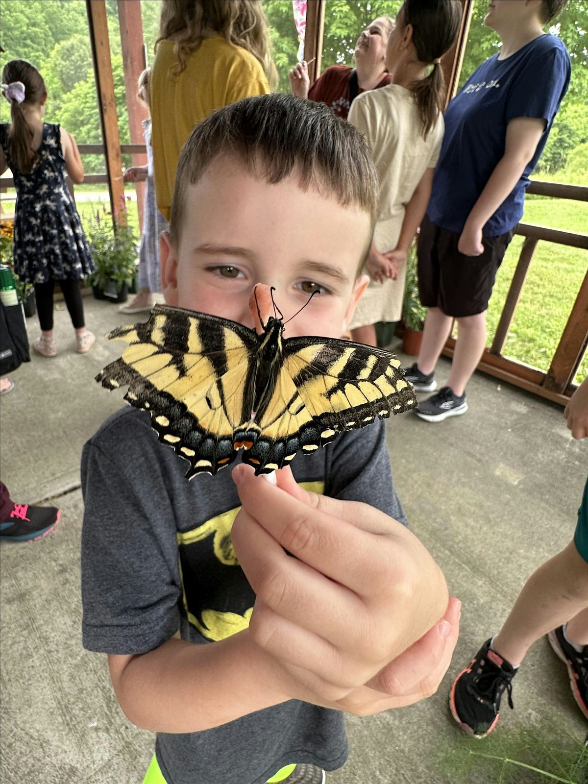 Interacting with Nature: Butterflies at the Butterfly Exhibit, 15 July | Event in Dover | AllEvents