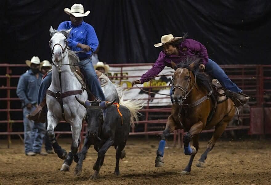 FIERCE goes to the STL Black Rodeo, 21 June | Event in St. Louis | AllEvents