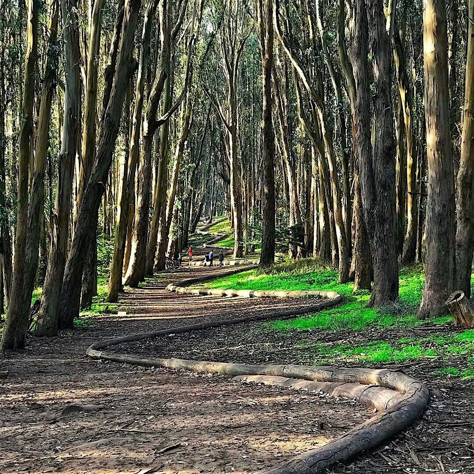 Monthly Hiking Club | Event in San Francisco | AllEvents