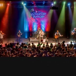 The Whistlin Donkeys in Dundalk