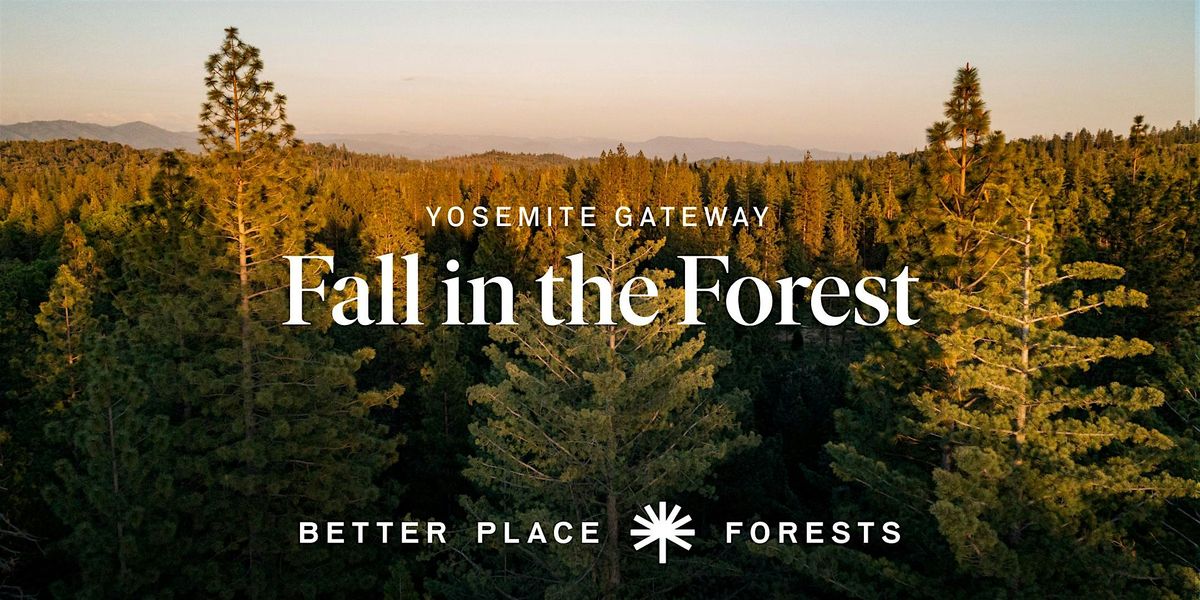 Yosemite Gateway Memorial Forest 'Fall in the Forest' Celebration, 18 October | Event in Coulterville | AllEvents