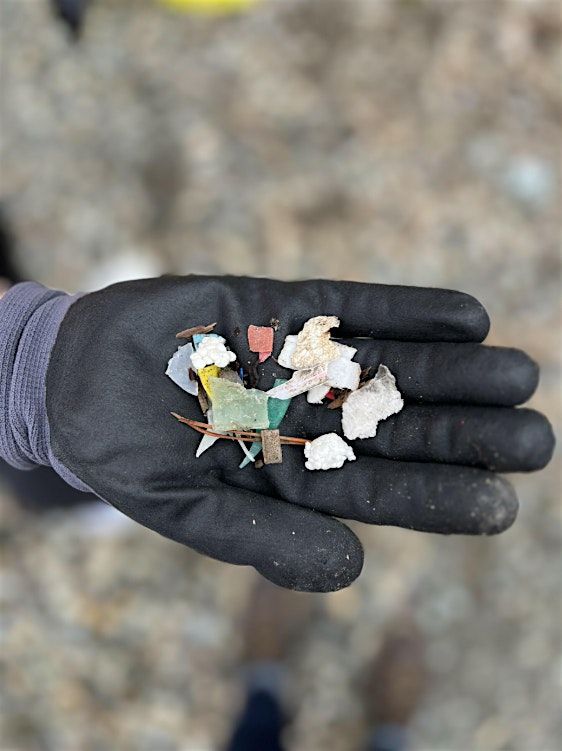 Beach Clean Up with Patagonia Seattle, 31 August | Event in Seattle | AllEvents