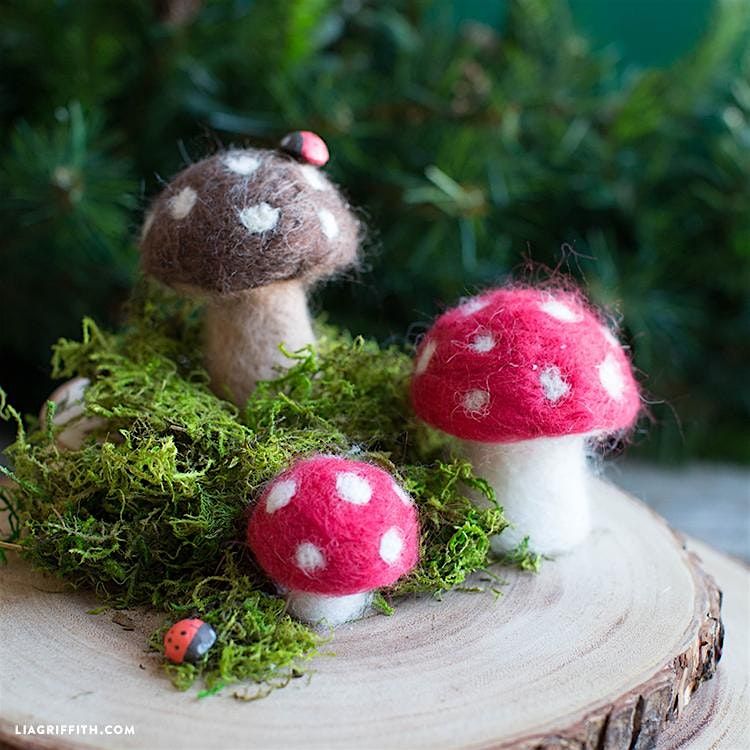 Needle Felted Fairy mushrooms, 13 June | Event in Taverham | AllEvents