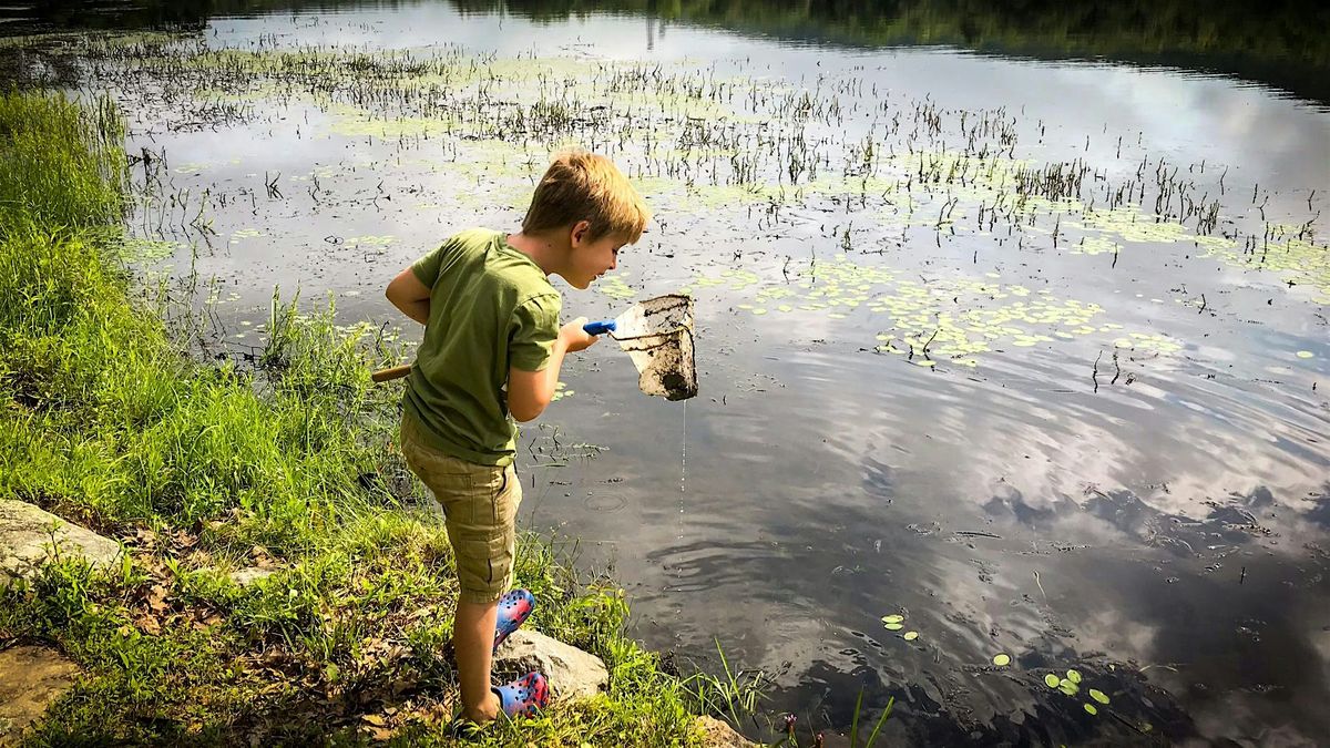 Pond Netting, 19 July | Event in Sussex | AllEvents
