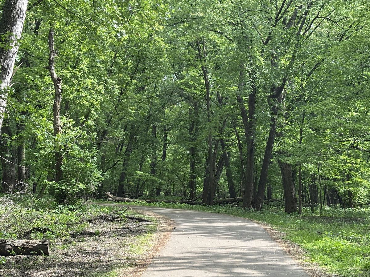 Somatic Work in Nature-Based Therapy, 28 July | Event in Saint Paul | AllEvents