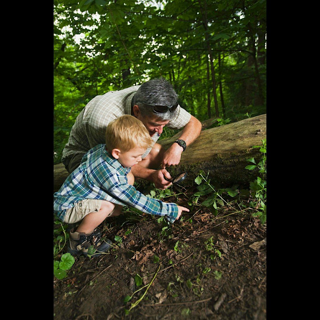 What's Under That Log?, Children's Program, $4 per child upon arrival, 21 September | Event in Smithtown | AllEvents
