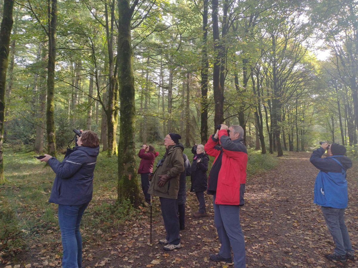 Birdwatching – Understanding More About Autumn Birds  (Tuesdays), 4 November | Event in Macclesfield | AllEvents