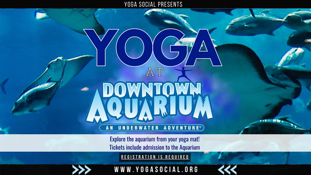 Yoga at the Downtown Aquarium in Denver with Yoga Social, 11 January | Event in Denver | AllEvents