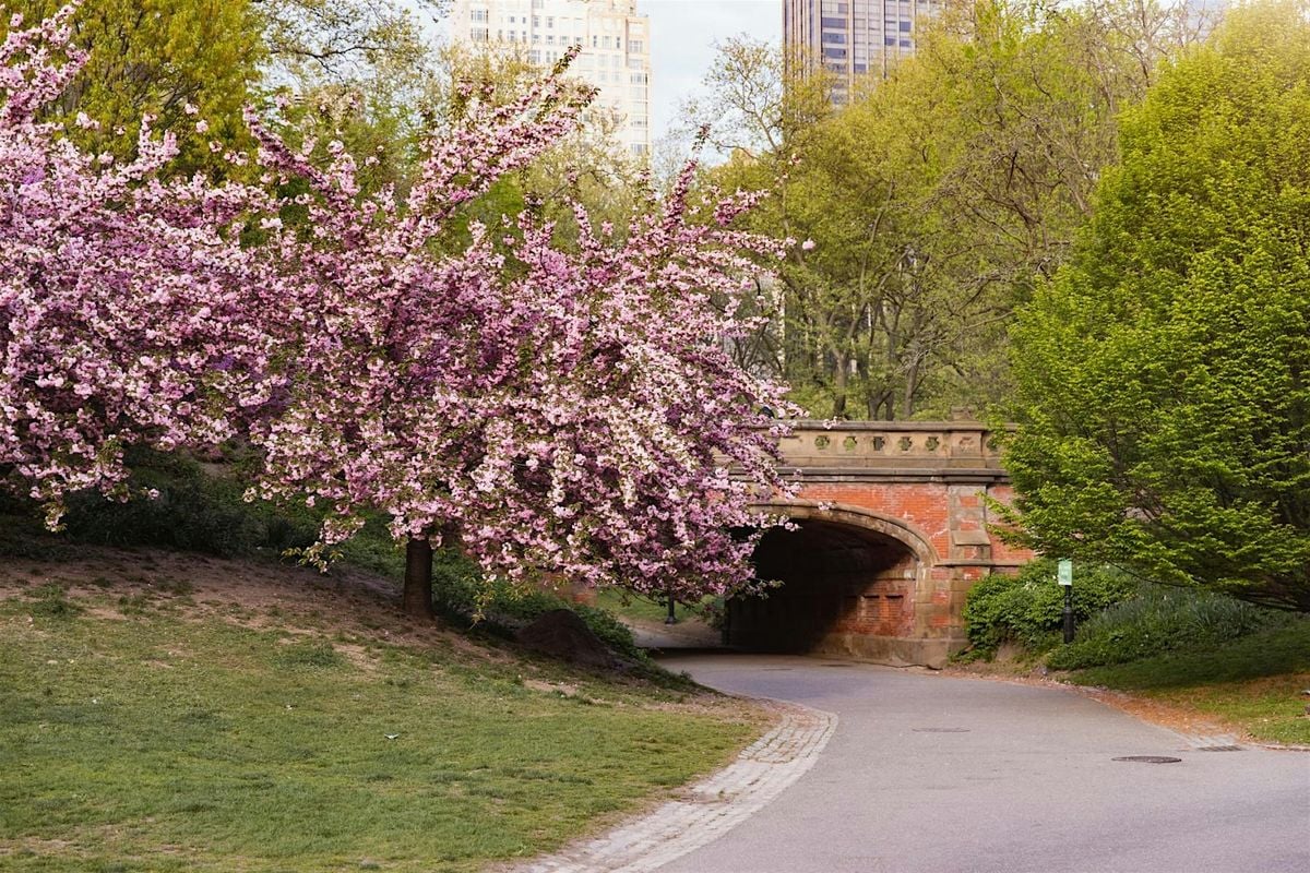 Walk&Talk - Cherry Blossom (Central Park), 18 April | Event in New York | AllEvents