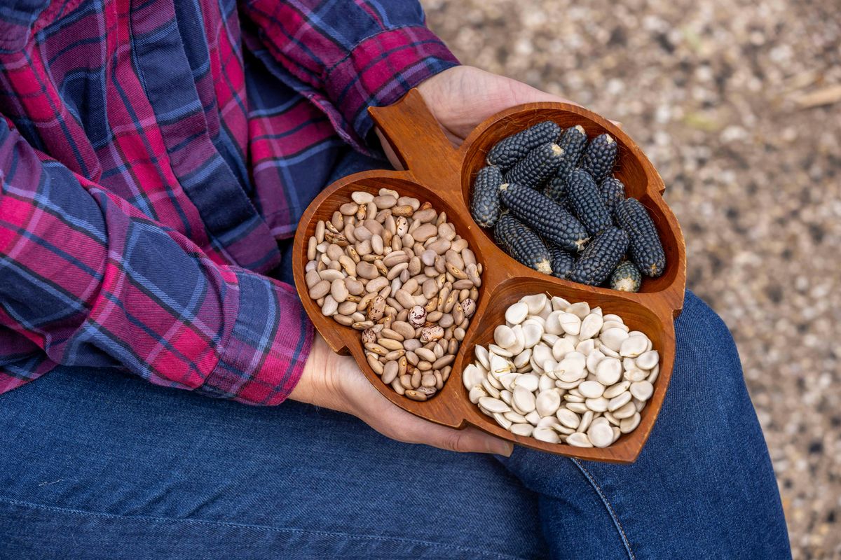 Seed Saving workshop - Craigieburn Community Garden, 25 October | Event in Craigieburn | AllEvents