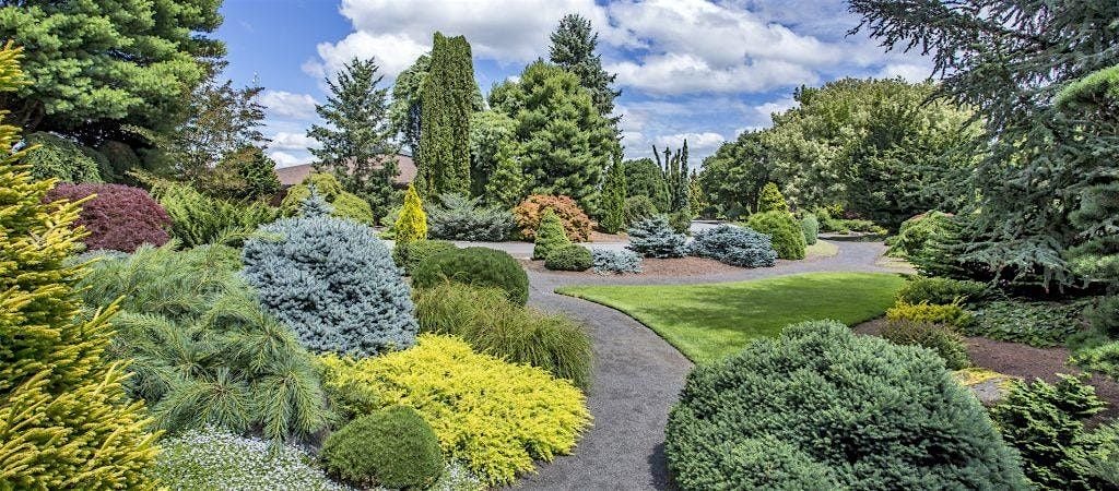 Conifers in Your Garden at Division | Event in Portland | AllEvents