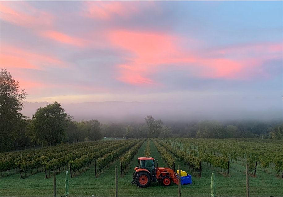 Cana Vineyards x Elementals Soap Co. Candlemaking Workshop, 20 July | Event in Middleburg | AllEvents