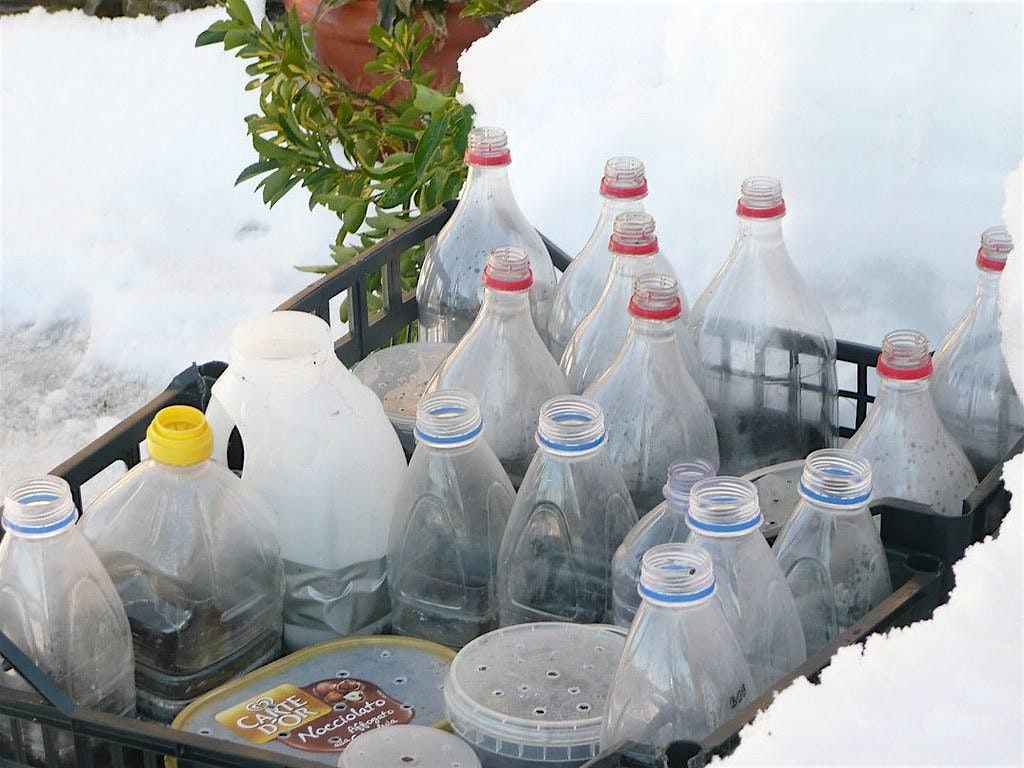Dec Meeting - Winter Sowing Workshop, 13 December | Event in Cassville | AllEvents