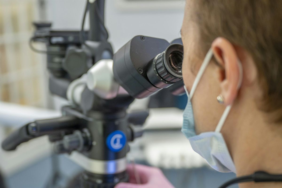 Level 1: Intro to biomimetic dentistry & direct composite techniques, Oct26, 4 October | Event in Kelso
