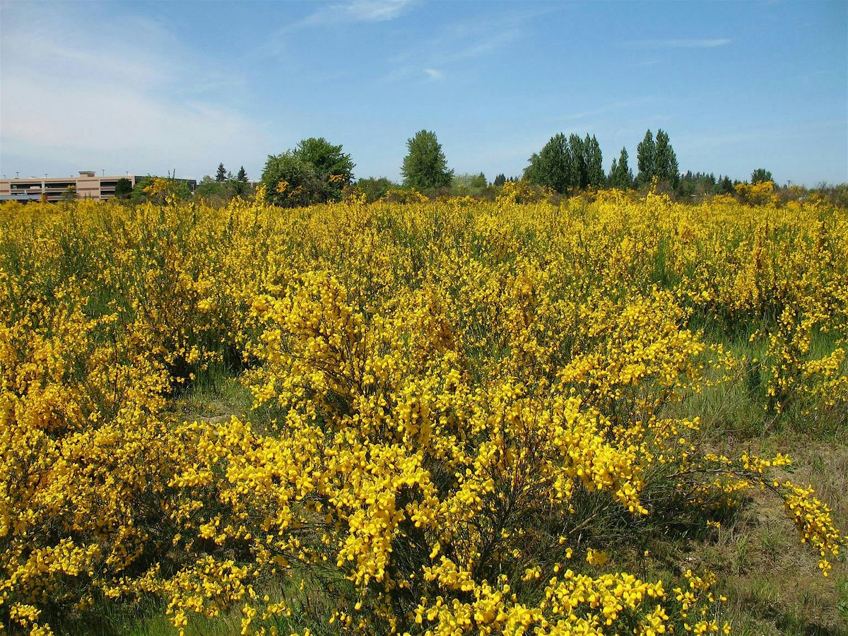 Invasive Species Removal at Clay Myers, 18 May | Event in Cloverdale | AllEvents