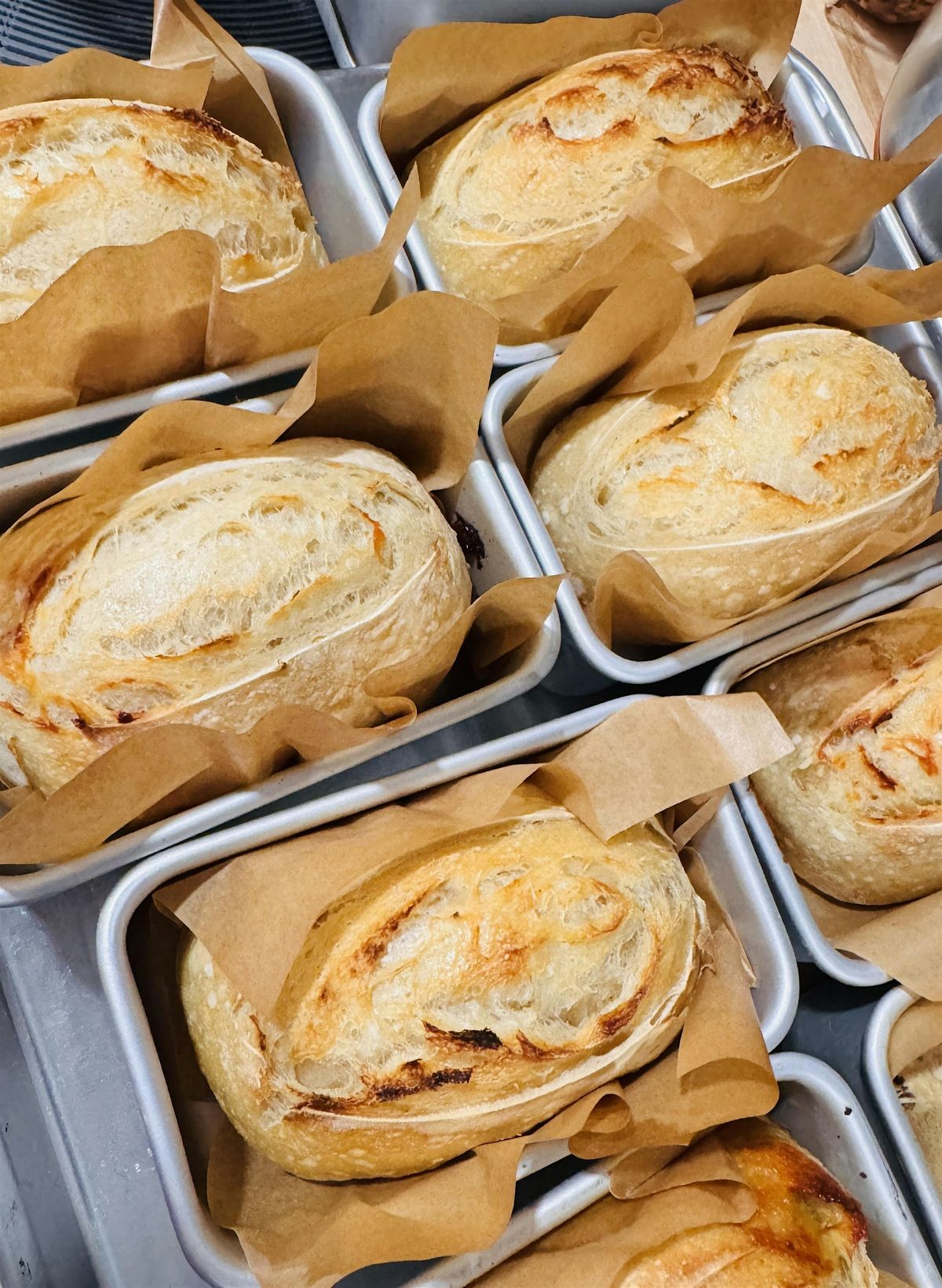 Beginner Sourdough, 17 January | Event in Sharpsburg | AllEvents