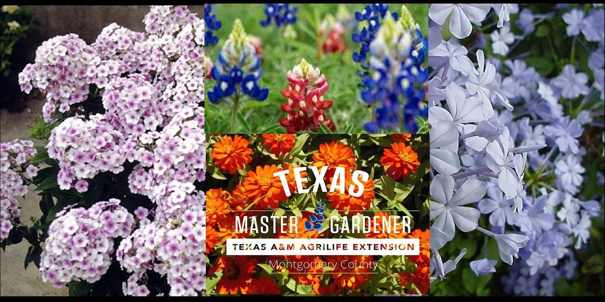 Overview of Earth-Kind and Texas Superstar Programs, 12 July | Event in Conroe | AllEvents