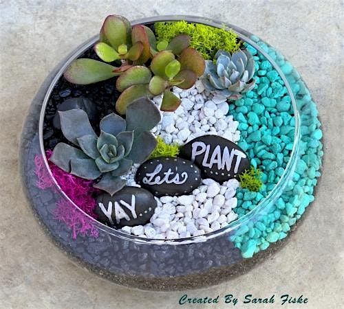 Family Plant Party: Make a Succulent Terrarium, 15 May | Event in Sacramento | AllEvents