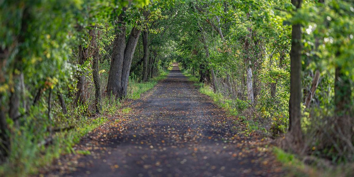 ‘This is the way; walk in it.’ A directed retreat, 18 September | Event in Liberty | AllEvents