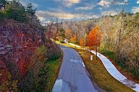 Polar Bear Camp January 2025