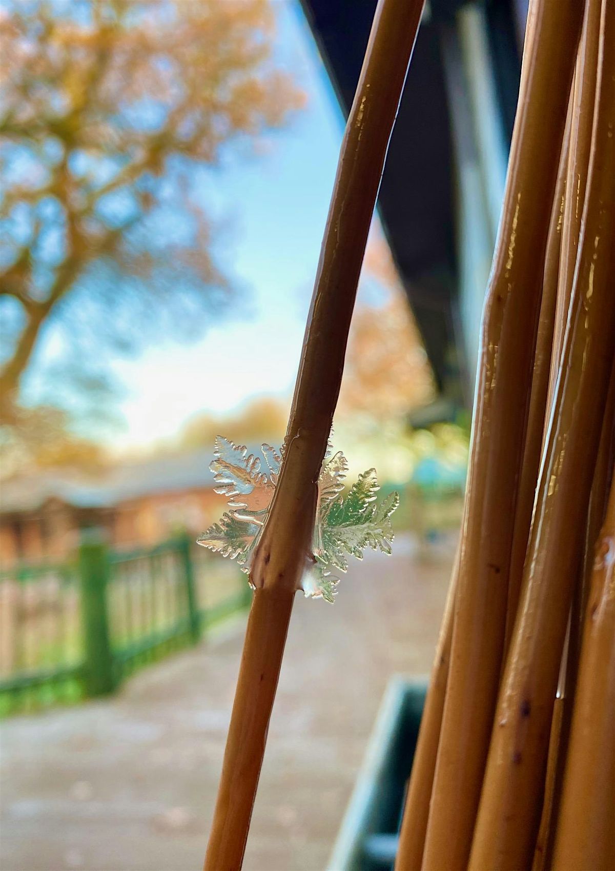 Beginners Willow Stars at Kingsbury Water Park, 14 December | Event in Sutton Coldfield | AllEvents