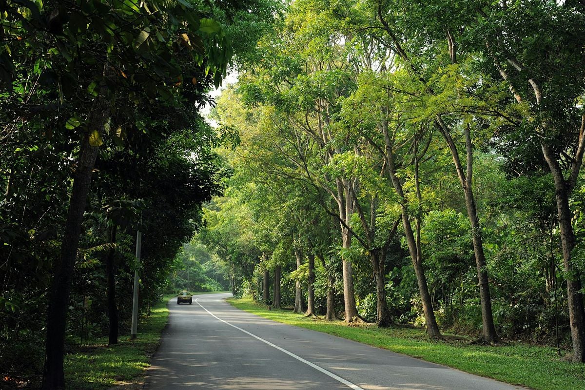 Lim Chu Kang & The 40 Lamppost Walk, 18 October | Event in Choa Chu Kang | AllEvents