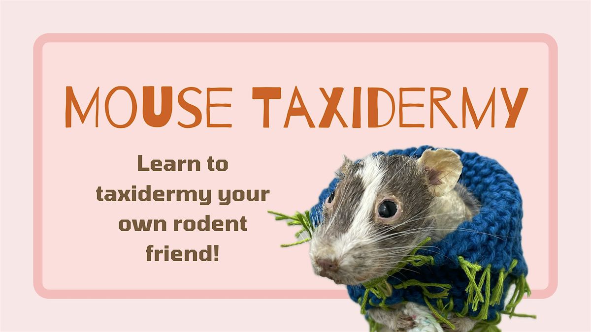 Mouse Taxidermy Workshop, 7 September | Event in Austin | AllEvents