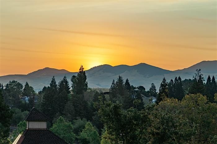 Adventurous Scavenger Hunt - Walnut Whimsy Hunt | Event in Walnut Creek | AllEvents