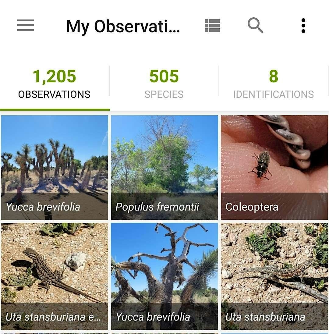 Guide to iNaturalist as a Tool for Nature, 16 May | Event in Lancaster | AllEvents