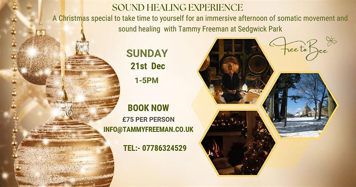 Christmas Sedgwick Park Gong Sound Healing Experience with Tammy Freeman, 21 December | Event in Horsham | AllEvents