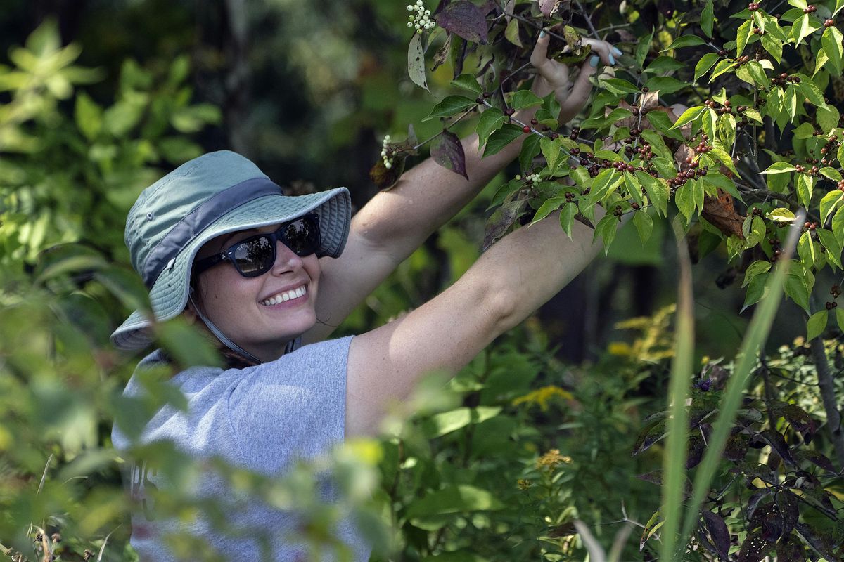 Seed Collection Drop In - Tuesday September 23, 23 September | Event in Peninsula | AllEvents