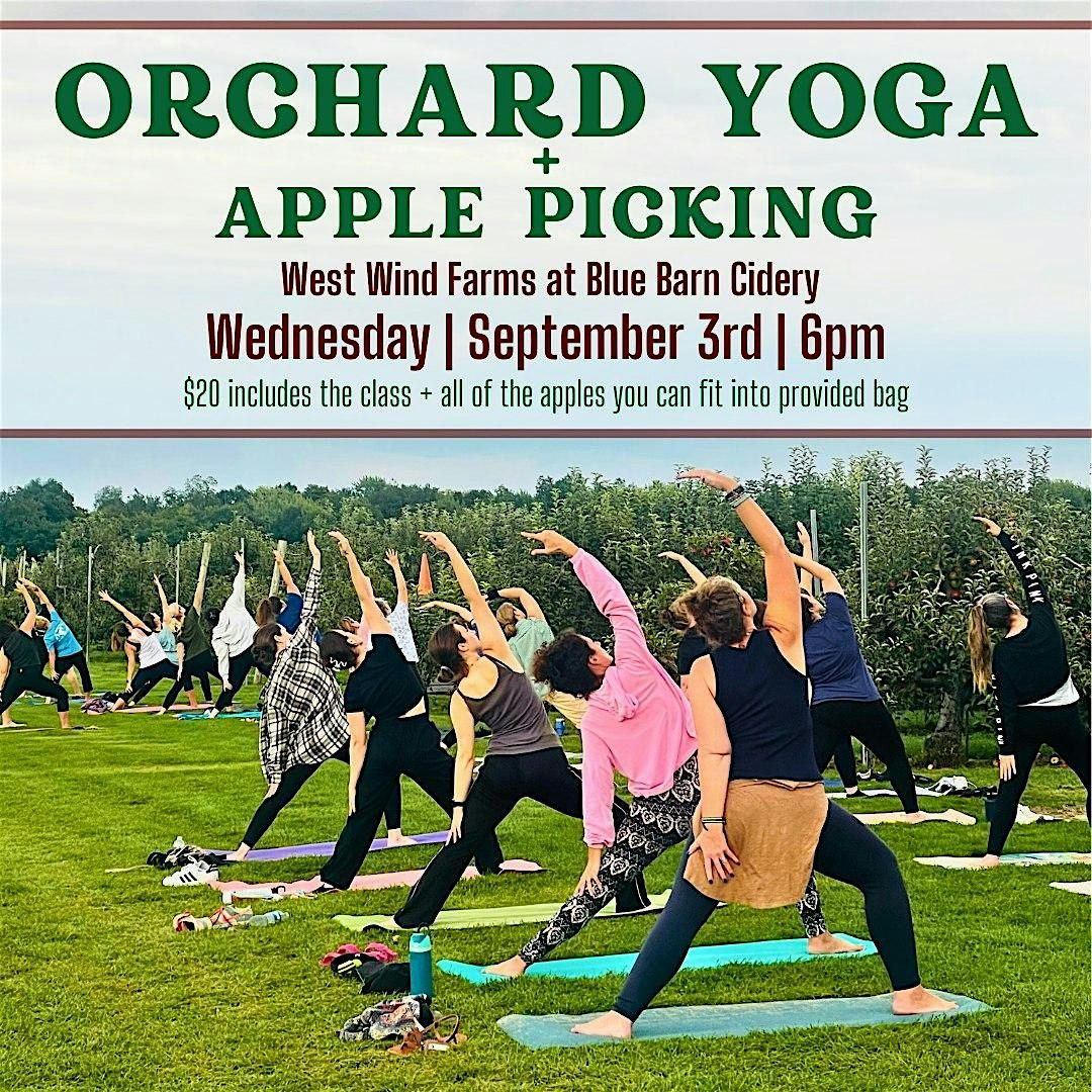 Orchard Yoga + Apple Picking, 3 September | Event in Hilton | AllEvents