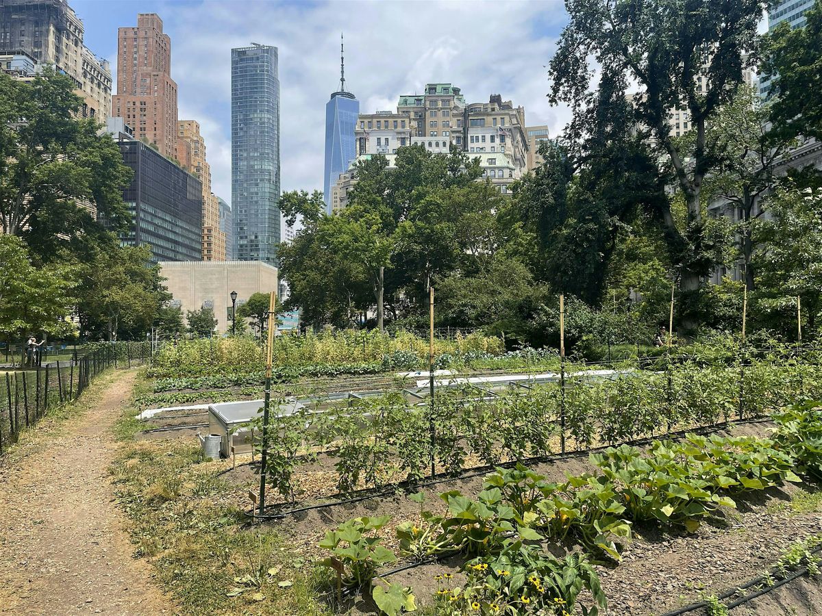 Farm Tours of Battery Urban Farm (Multiple Dates) | Event in New York | AllEvents