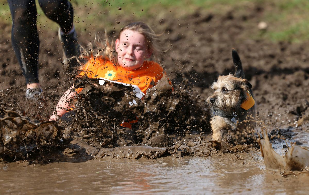 Lewis-Manning Hospice Care's Muddy Dog Dash  2026 at Upton Country Park, 28 March | Event in Dorset | AllEvents