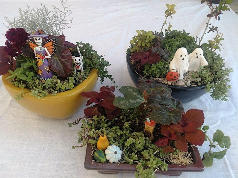 Making Halloween mini gardens!, 11 October | Event in Hollister | AllEvents