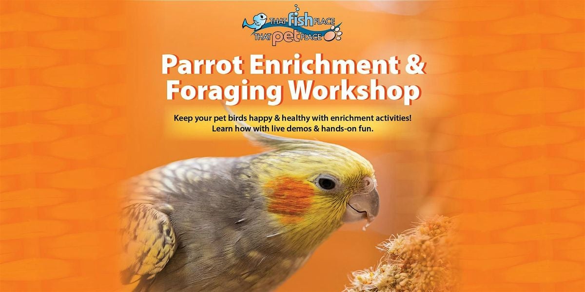 Parrot Enrichment & Foraging Workshop, 23 August | Event in Lancaster | AllEvents