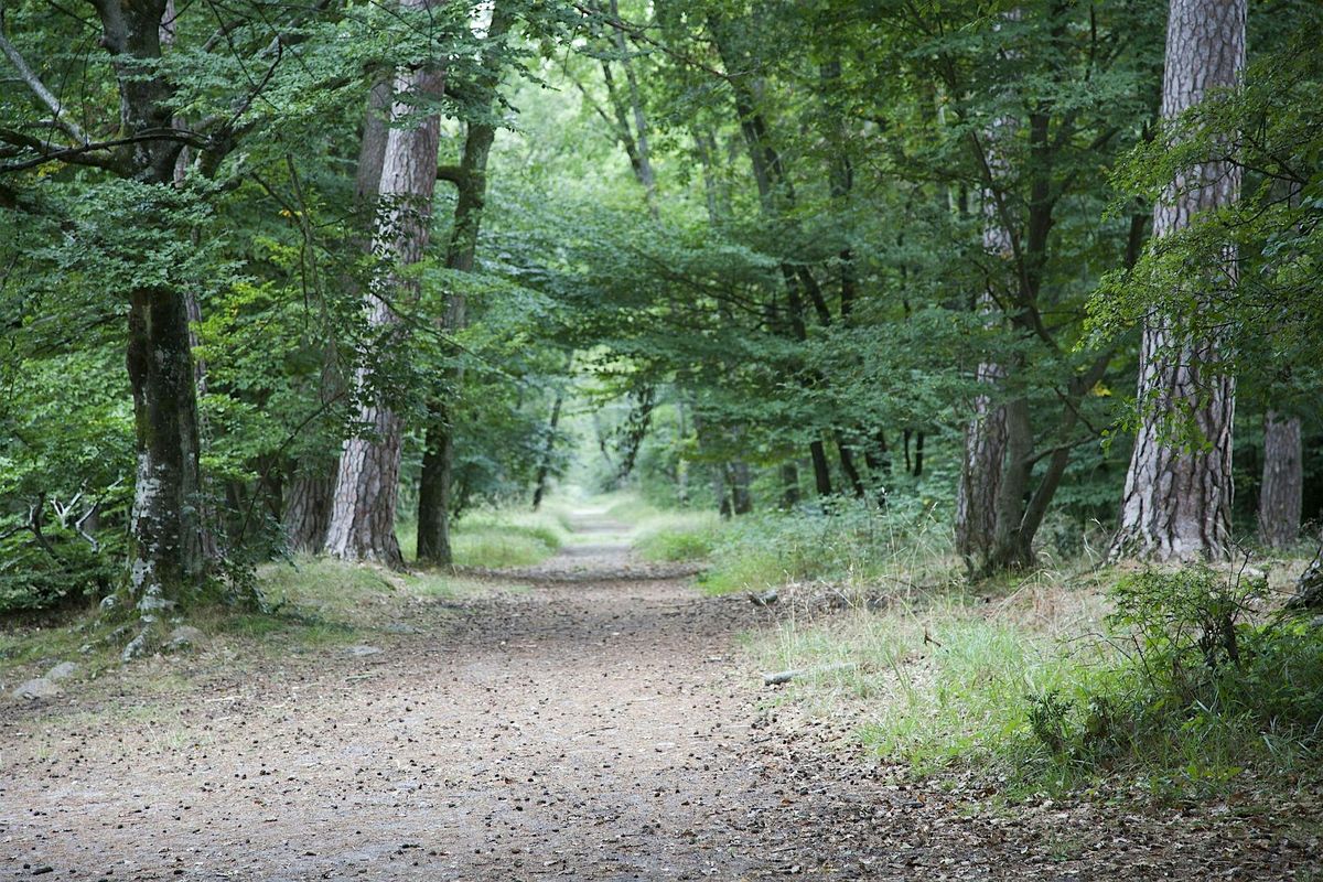 Rejuvenation Walk / Ballade Ressourçante, 19 October | Event in Avon | AllEvents