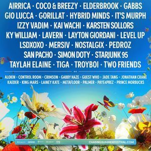 Chasing Summer: Fisher Subtronics Armin Van Buuren & Rezz - 2 Day Pass