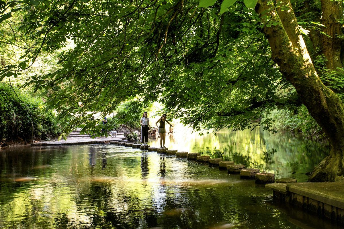 HIKE 17km Jane Austen's Box Hill, England's largest vineyard & North Downs, 14 December | Event in London