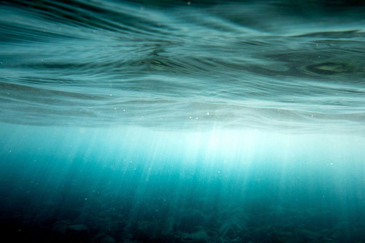 Under Dark Water: A Somatic Movement Workshop | Event in O'Fallon | AllEvents