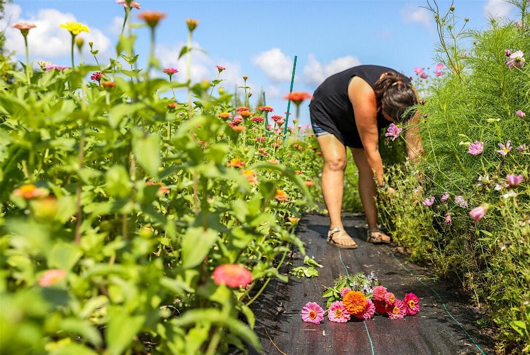U-Pick Flowers, 14 August | Event in Eau Claire | AllEvents